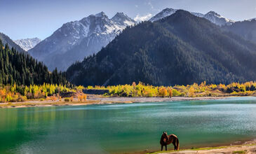 TURAN DEVLETLERİ TURU