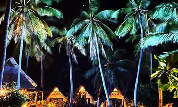 ZANZİBAR RÜYASI & AFRİKA SAFARİ MACERASI