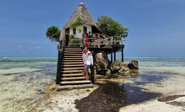 ZANZİBAR RÜYASI & AFRİKA SAFARİ MACERASI