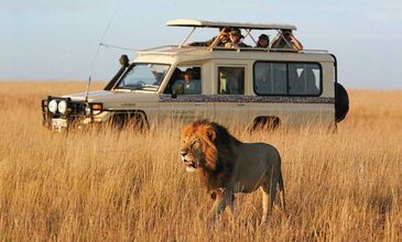 ZANZİBAR RÜYASI & AFRİKA SAFARİ MACERASI
