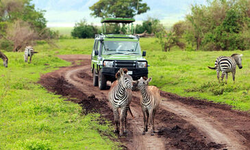 ZANZİBAR RÜYASI & AFRİKA SAFARİ MACERASI