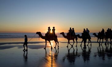 MISIR SHARM EL SHEİKH TURU DEV KAMPANYA 