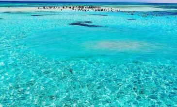 MISIR SHARM EL SHEİKH TURU DEV KAMPANYA 