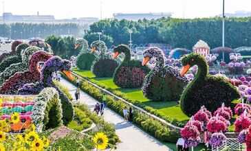 ANTALYA ÇIKIŞLI DUBAİ - ABU DABİ TURU 5 GECE 6 GÜN 